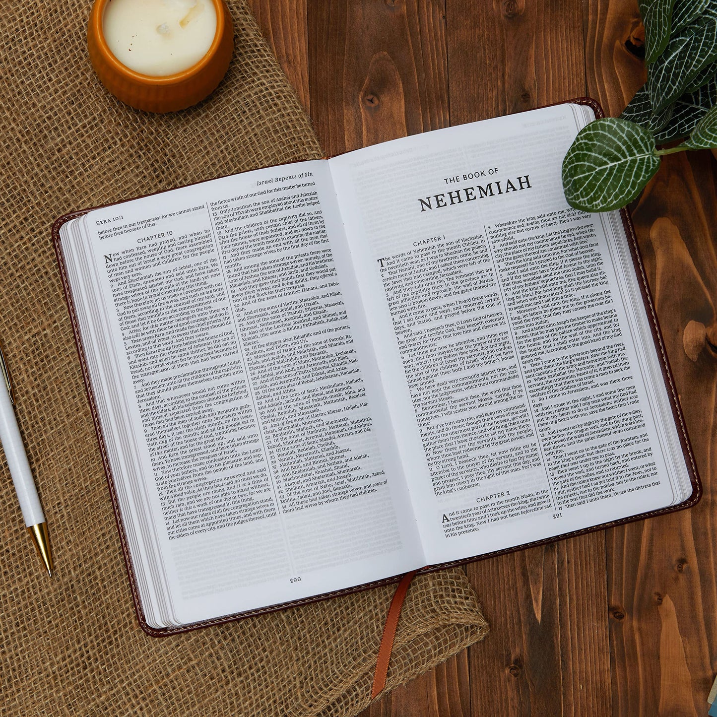 KJV Holy Bible: King James Version