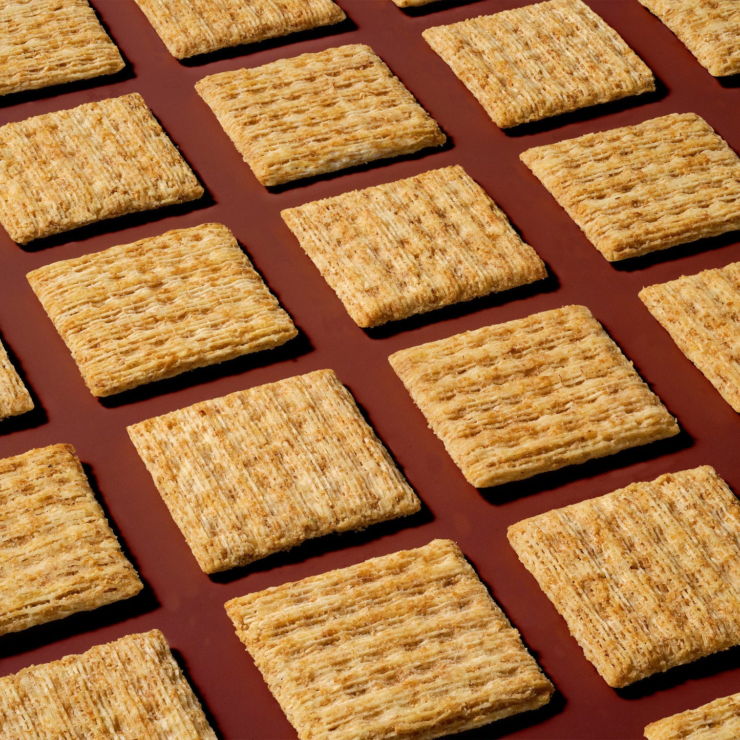 Triscuit Roasted Garlic Whole Grain (BB Jul 14 2026)