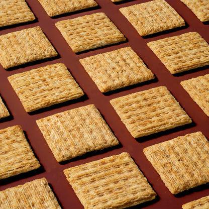 Triscuit Roasted Garlic Whole Grain (BB Jul 14 2026)