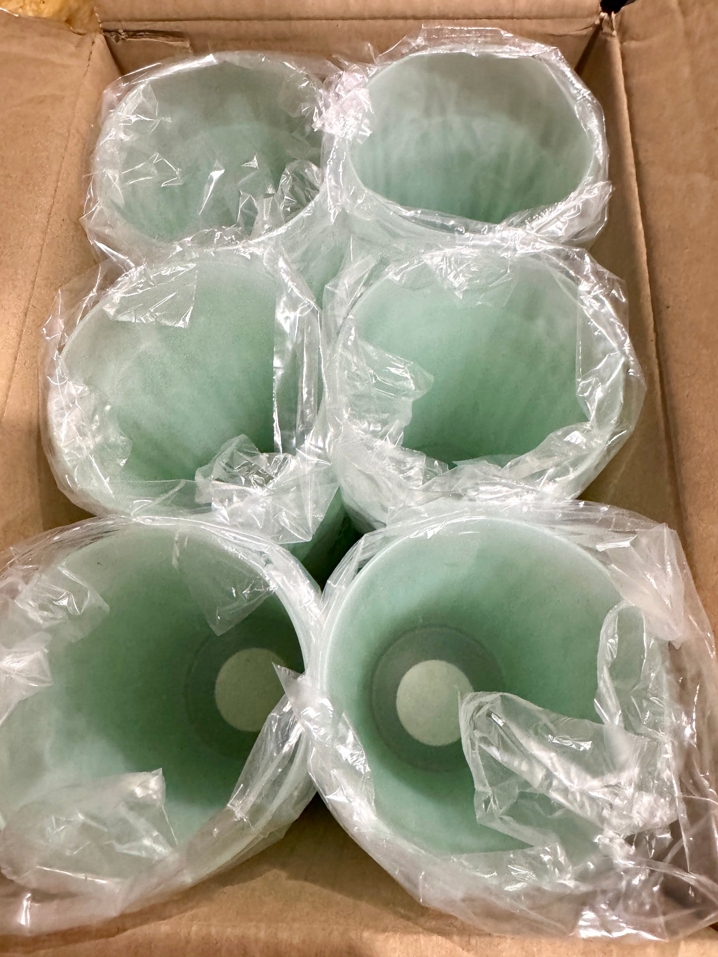 Case of 24 Mint Tumblers – Durable Plastic Cups
