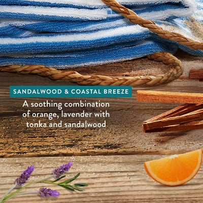 Native Limited Edition Fall Getaway Deodorant - Sandalwood & Coastal Breeze - 2.65oz