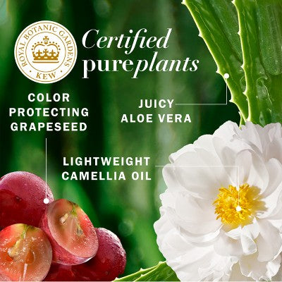 Herbal Essences Grape Seed Conditioner Color Protection and Hair Nourishment, Sulfate Free - 13.5 fl oz