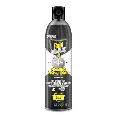 Raid Max Foaming Wasp and Hornet Bug Spray - 16.5oz