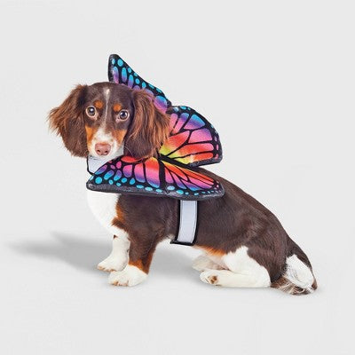 Halloween Butterfly Wings Dog and Cat Costume - Hyde and EEK! Boutique  S/M