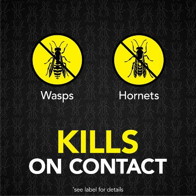 Raid Max Foaming Wasp and Hornet Bug Spray - 16.5oz