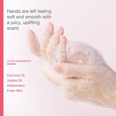 Raw Sugar Moisture Loving Hand Wash Refill Bottle - Watermelon + Fresh Mint - 34 fl oz