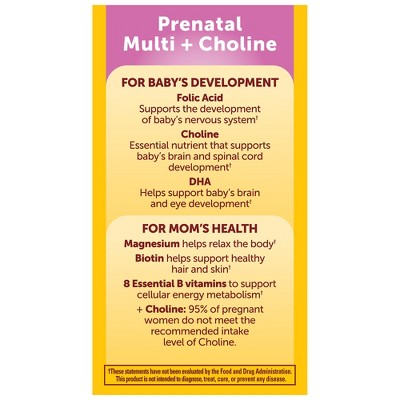Nature Made Prenatal + Choline Softgel Capsule - 120ct **Exp 08/2026**  **Damaged Box**