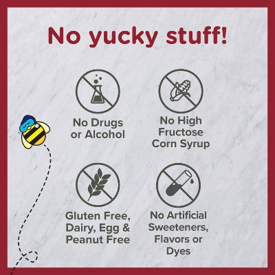 Zarbee's Kids' Nighttime Cough Syrup Grape Flavor - 4 oz *Exp 06/27*