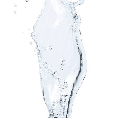 L'Oreal Paris Elvive Hyaluron Plump Flash Hydration Hair Wonder Water for Dry Hair - 6.8 fl oz *Damaged Packaging*