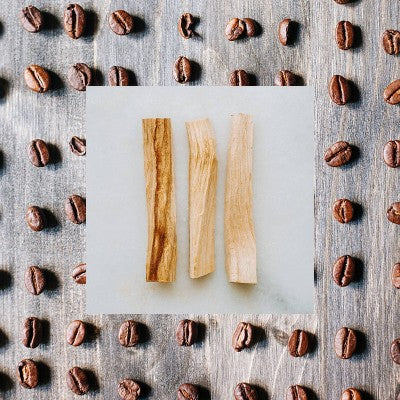 Raw Sugar Eco Body Bar Soap - Santal + Caffeine - 5oz