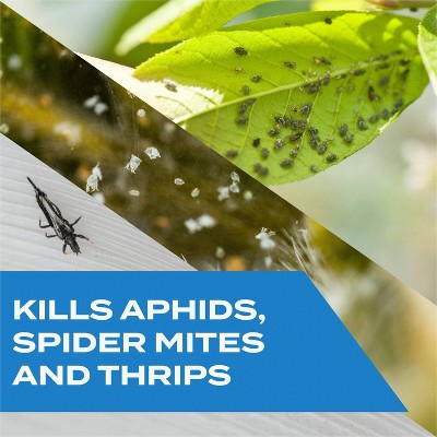 Stem Plant Insect Spray, Indoor and Outdoor Bug Killer - 12oz