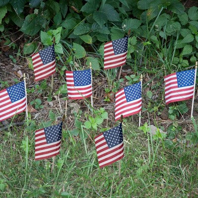 Betsy Flags 4x6 Inch U.S. Stick Flags 8 ct *Damaged Package*