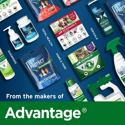 Pet Protect Dog Multivitamin, Vet-Formulated DVM Daily Soft Chews, Chicken, 60 Soft Chews *Exp 07/2027*