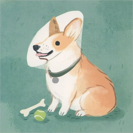 Up With Paper Get Well Dogs: White, Brown and Tan Dogs with Gauze Wraps and Bandages 5-Inch 3D Pop-Up Get Well Card