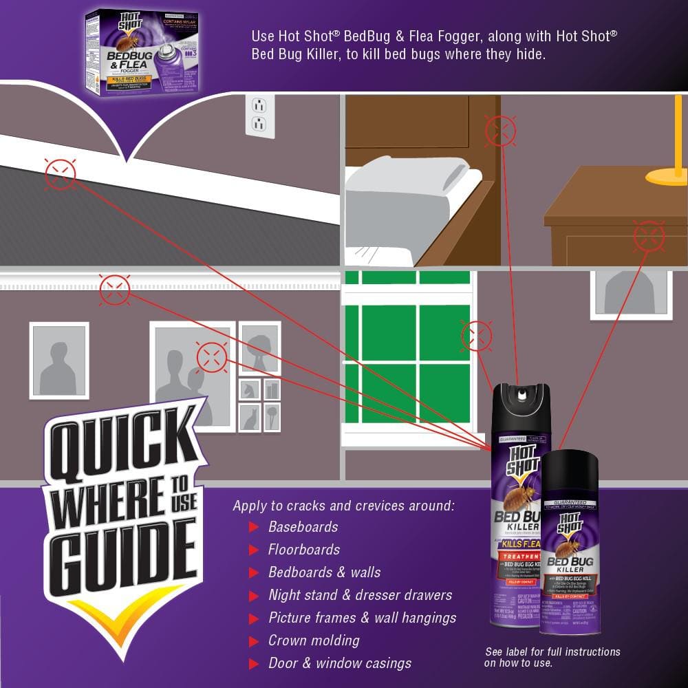 Bed Bug and Flea Killer Aerosol Spray Treatment with Egg Kill 17.5 oz