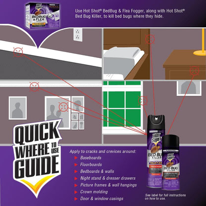 Bed Bug and Flea Killer Aerosol Spray Treatment with Egg Kill 17.5 oz