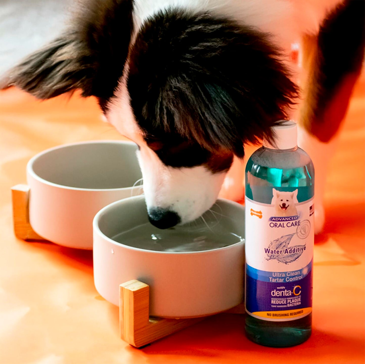 Nylabone Advanced Oral Care Pet Dental Water Additive 16 oz. exp. 5/26