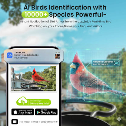 Smart Bird Feeder with Camera