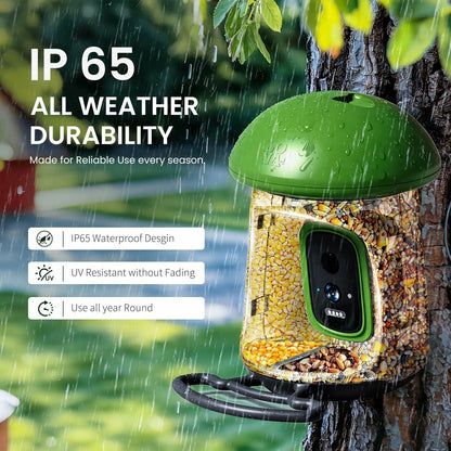 Smart Bird Feeder with Camera