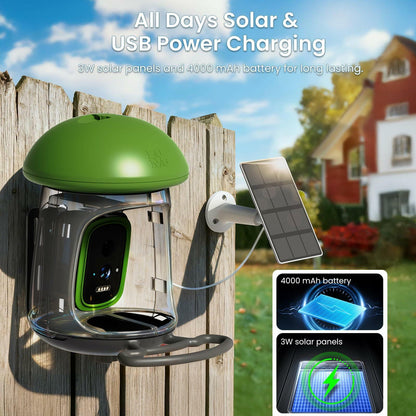Smart Bird Feeder with Camera