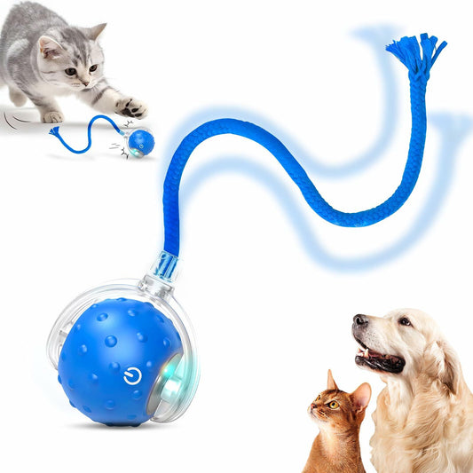 Tiny Fetch Dog Toy (Blue)