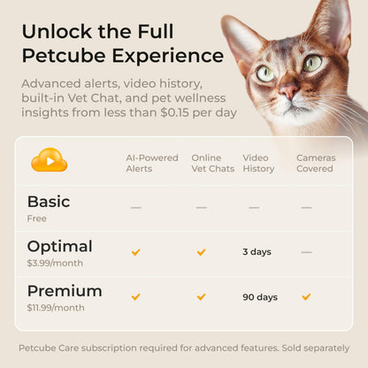 Petcube Play 2 Wi-Fi Pet Camera with Laser Toy