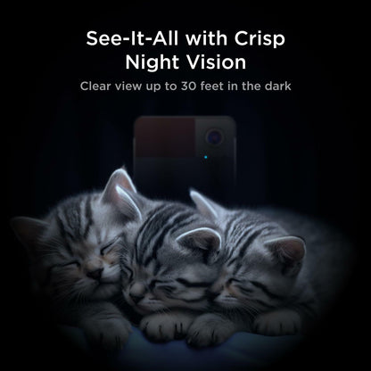 Petcube Play 2 Wi-Fi Pet Camera with Laser Toy