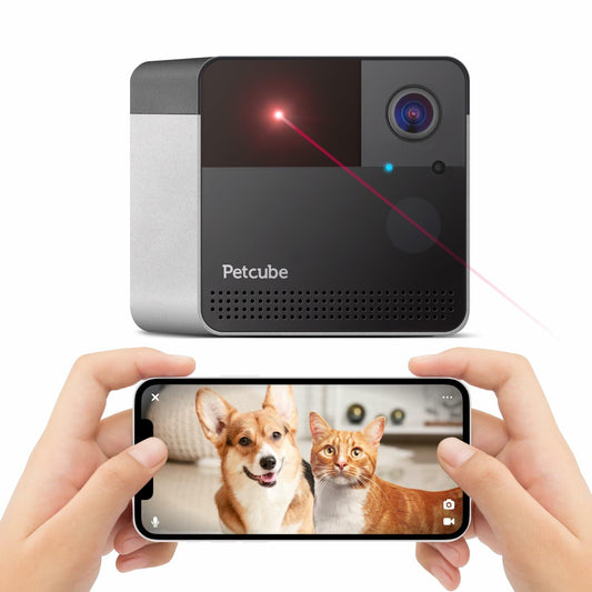 Petcube Play 2 Wi-Fi Pet Camera with Laser Toy