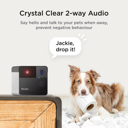 Petcube Play 2 Wi-Fi Pet Camera with Laser Toy