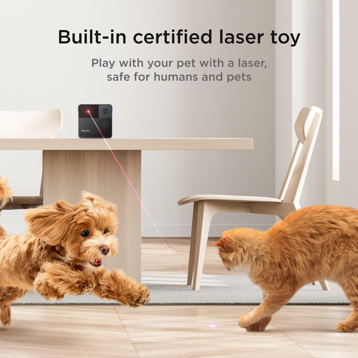 Petcube Play 2 Wi-Fi Pet Camera with Laser Toy