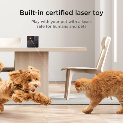 Petcube Play 2 Wi-Fi Pet Camera with Laser Toy