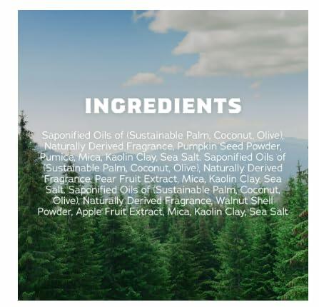 Dr. Squatch Flannel Forest Bar Soap 5 oz