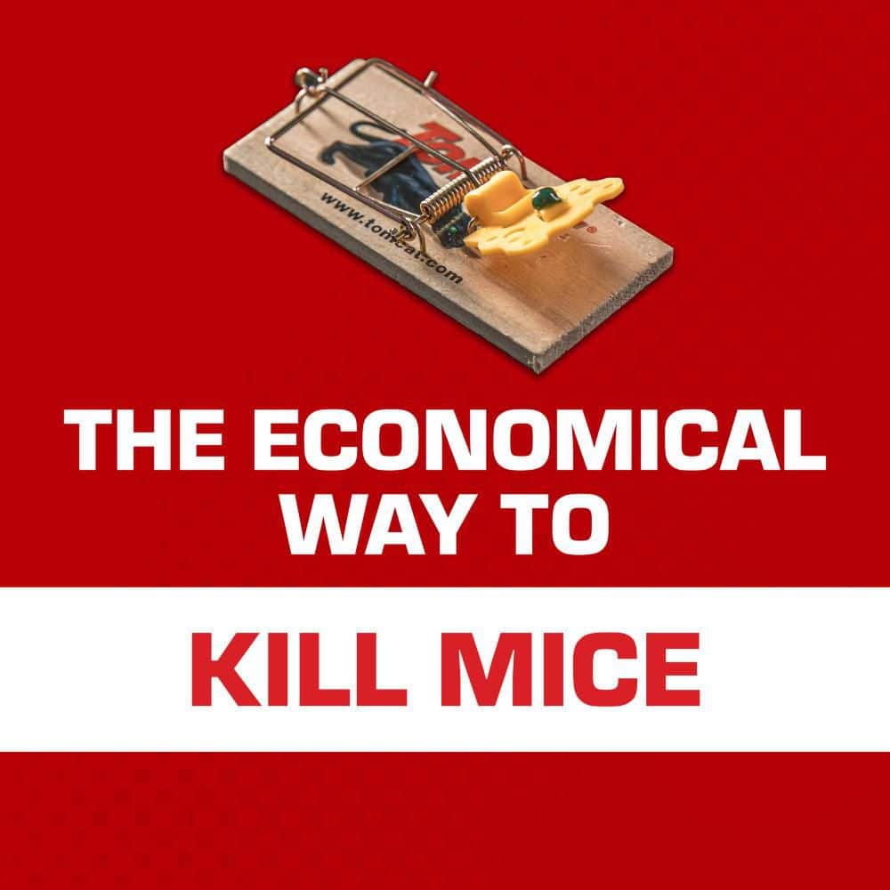 Mouse Traps (Wooden), Inexpensive, Effective Way to Catch Mice in the Home, 2-Traps