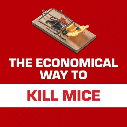 Mouse Traps (Wooden), Inexpensive, Effective Way to Catch Mice in the Home, 2-Traps